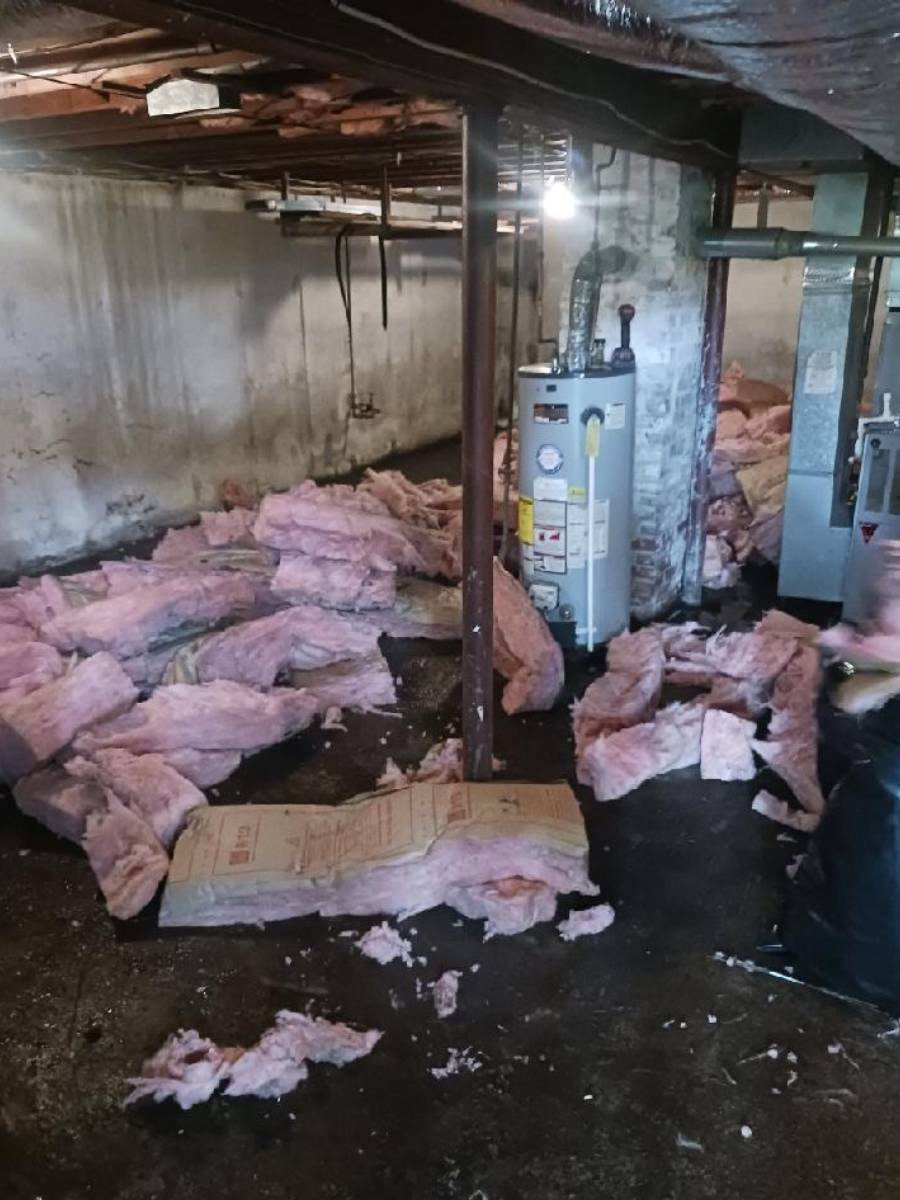 AF1QipPqQ9xc6YDxh-5v_wMQW2cxgt-JhO_aWGaaPQS9=s1500 (4)