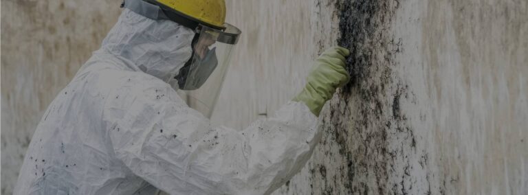 Mold Remediation