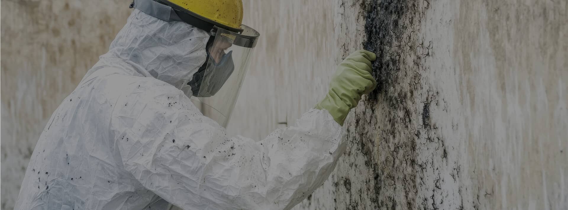 Mold Remediation
